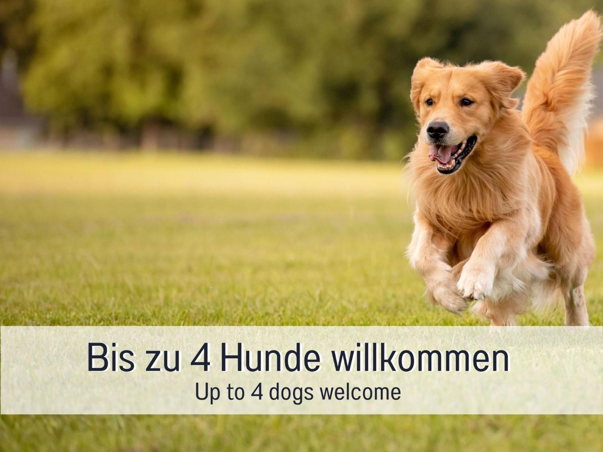 Traum Ferienhaus Burghalde Alpirsbach Zewnętrze zdjęcie